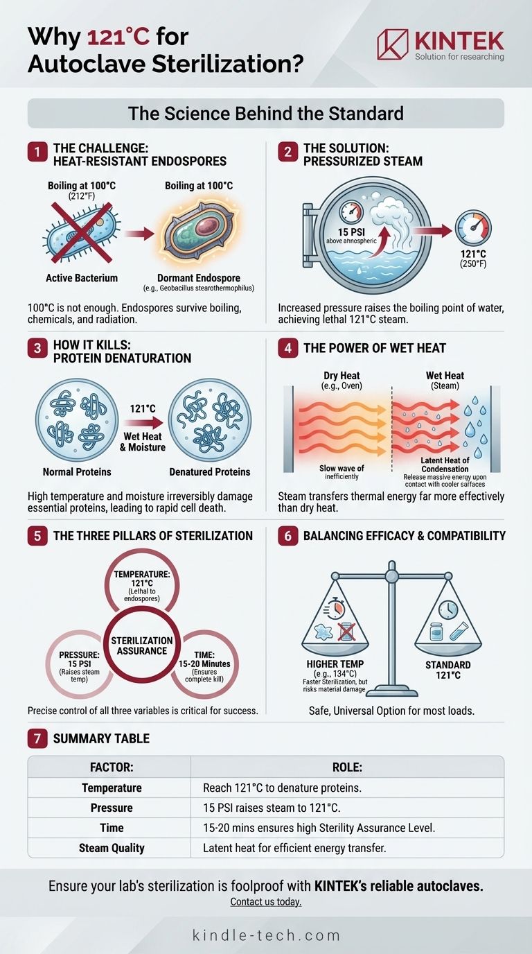 Pourquoi l'autoclave est-il réglé à 121 °C ? La science de la stérilisation des spores résistantes à la chaleur Guide Visuel