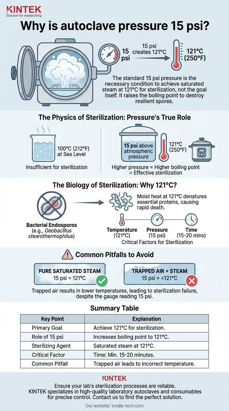 高压灭菌锅的压力为什么是15 psi？实现灭菌温度的关键 图解指南