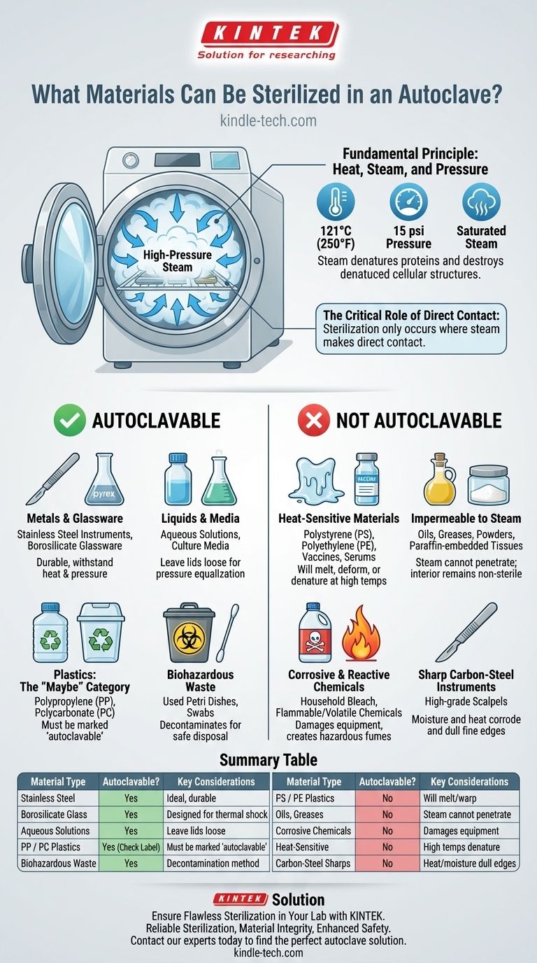¿Qué materiales se pueden esterilizar en una autoclave? Una guía para artículos estables al calor y permeables al vapor Guía Visual