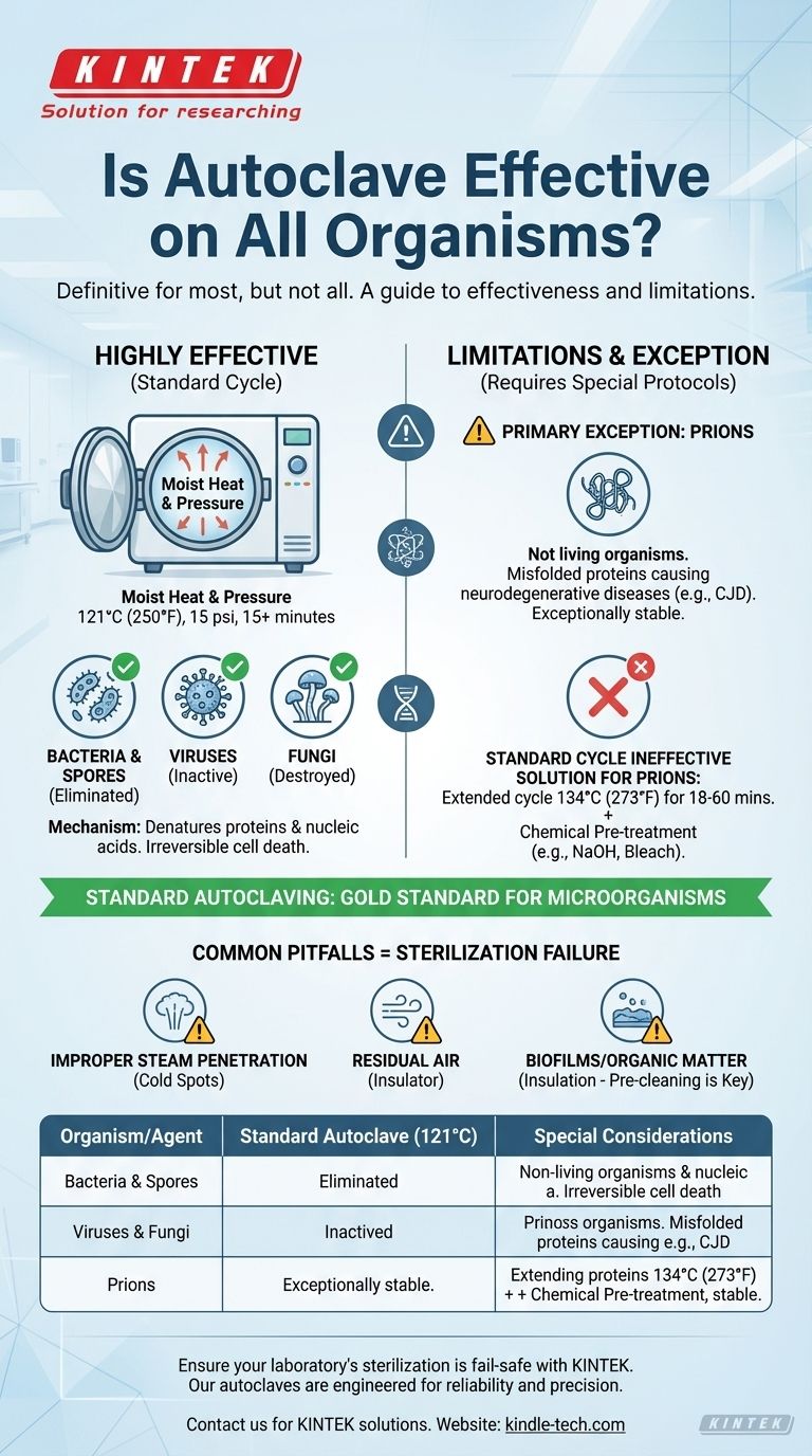 Is autoclave effective on all organisms? The Definitive Guide to Sterilization Limits Visual Guide
