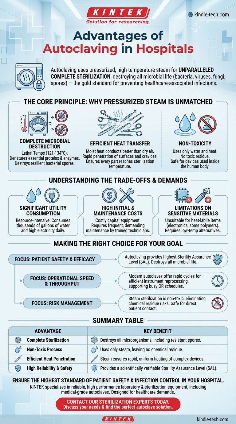 Quali sono i vantaggi dell'autoclavaggio negli ospedali? Ottieni una sterilizzazione ineguagliabile per la sicurezza del paziente Guida Visiva