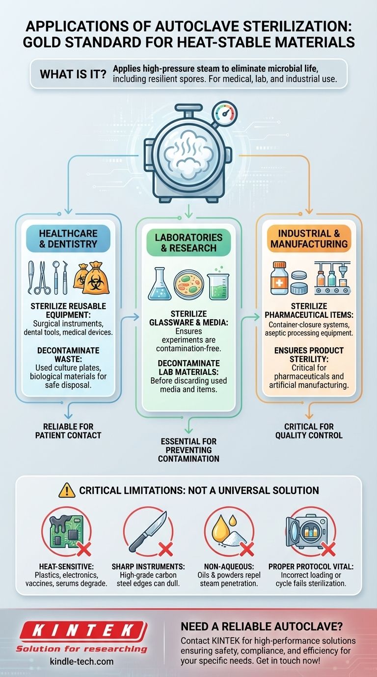 Каковы области применения автоклавной стерилизации? Достижение абсолютной стерильности в медицинских, лабораторных и промышленных условиях Визуальное руководство