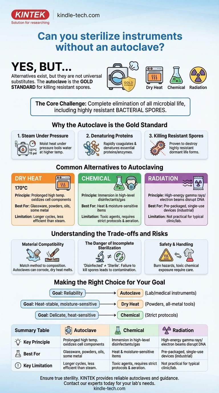 Можно ли стерилизовать инструменты без автоклава? Откройте для себя эффективные альтернативы для вашей лаборатории Визуальное руководство