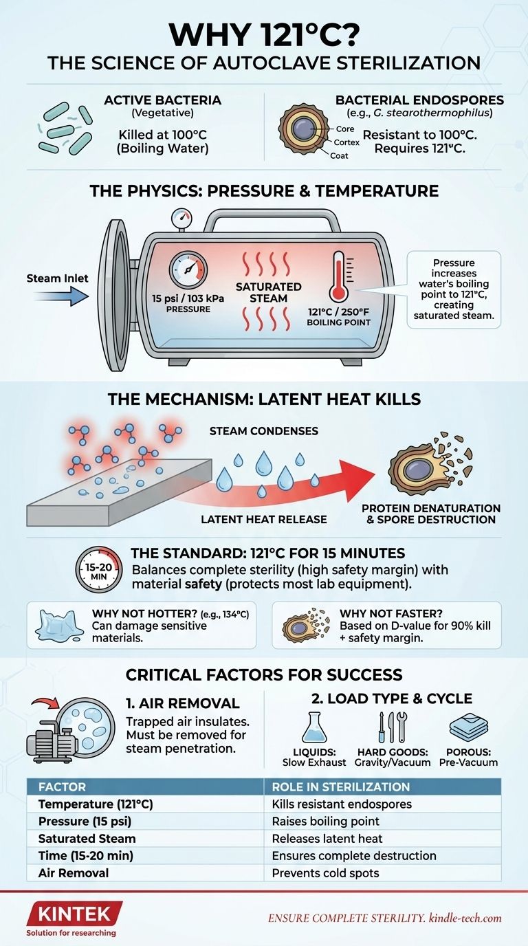 为什么高压灭菌锅在 121°C 下工作？ 灭菌细菌孢子的科学原理 图解指南