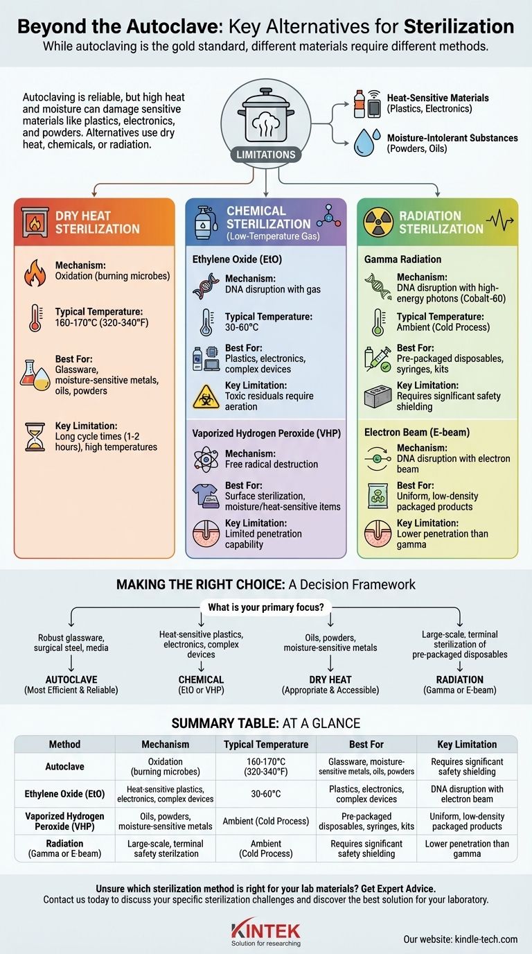 ¿Qué otro método además de la autoclave logra la esterilización? Compare las opciones de calor seco, químico y radiación Guía Visual