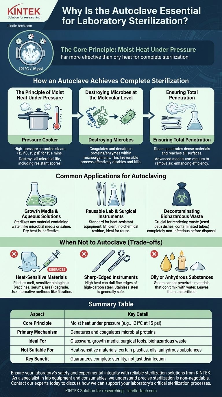 ¿Por qué es importante usar el autoclave para esterilizar las herramientas de laboratorio? Asegure una esterilidad completa para resultados confiables Guía Visual