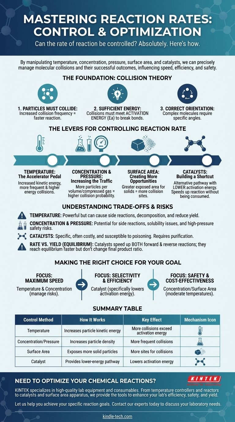 反应速率可以控制吗？掌握温度、浓度和催化剂 图解指南