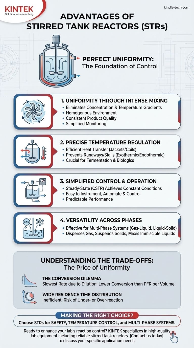 撹拌槽型反応器の利点は何ですか？比類のないプロセス制御と均一性を実現 ビジュアルガイド