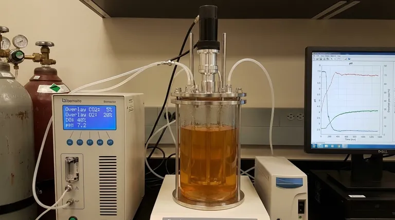 バイオリアクターにおけるオーバーレイの目的は何ですか?ガスとpHの精密制御をマスターする