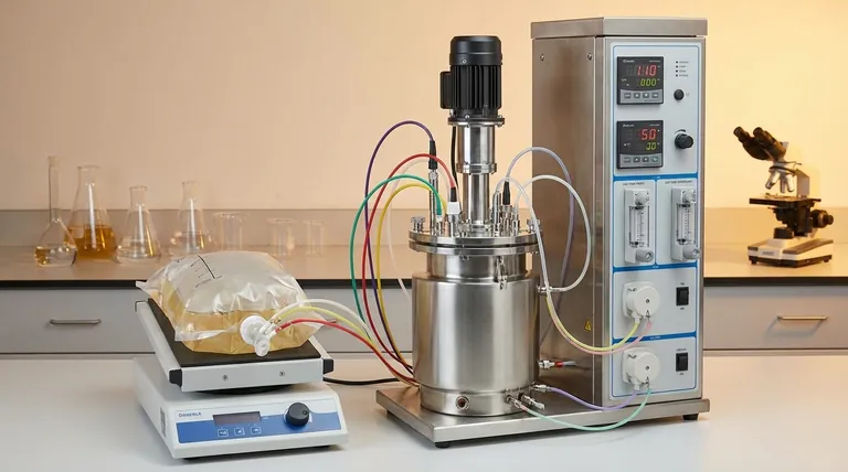 如何设计生物反应器？打造细胞完美环境的指南