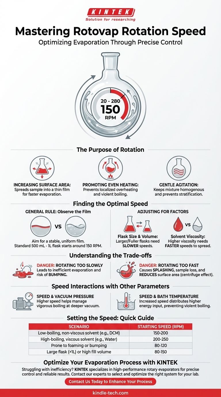 ロータリーエバポレーターの速度は？溶媒に合った適切なRPMで蒸発を最適化 ビジュアルガイド