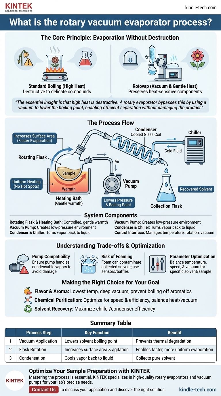 Cos'è il processo dell'evaporatore rotante sottovuoto? Separazione delicata per campioni sensibili al calore Guida Visiva