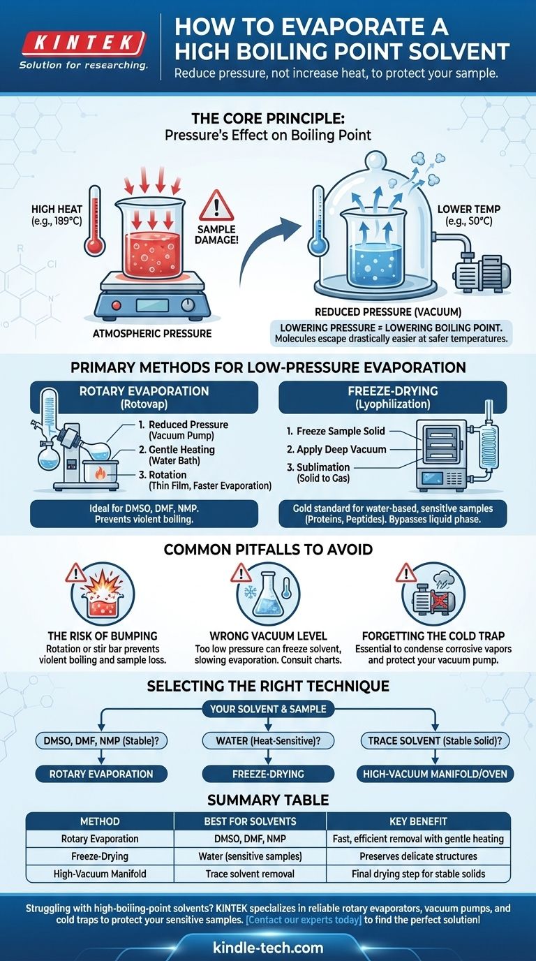 ¿Cómo se evapora un disolvente de alto punto de ebullición? Domine las técnicas de baja presión para proteger sus muestras Guía Visual