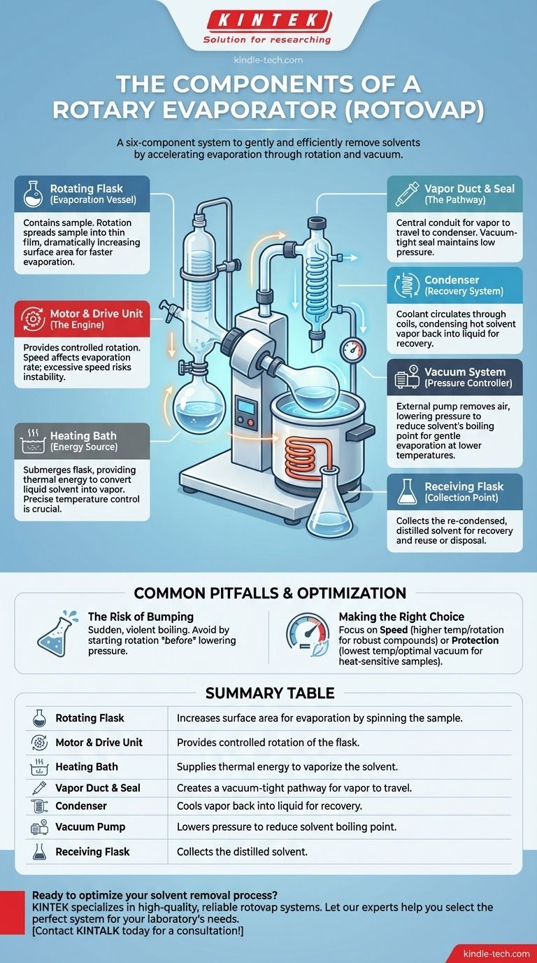 Quais são os componentes de um rotavapor? Domine o Sistema Essencial para a Remoção Eficiente de Solventes Guia Visual