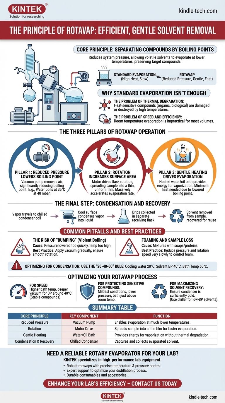 What is the principle of rotavap? Efficient, Gentle Solvent Removal for Sensitive Compounds Visual Guide