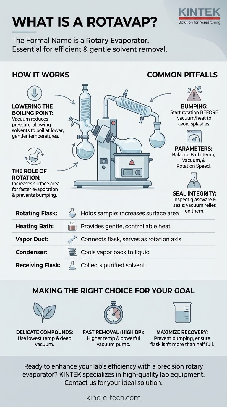 Wie heißt ein Rotationsverdampfer? Entdecken Sie die Präzision von Rotationsverdampfern Visuelle Anleitung