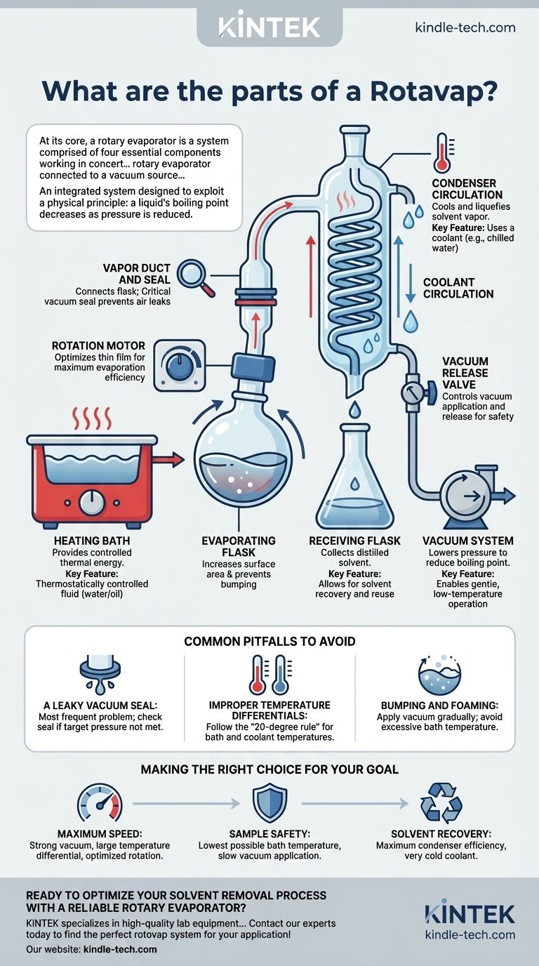 Из каких частей состоит роторный испаритель? Освойте основную систему для эффективного испарения растворителя Визуальное руководство