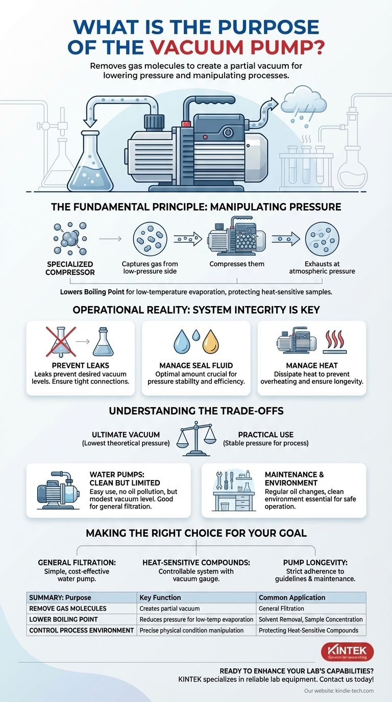 What is the purpose of the vacuum pump? A Key Tool for Controlling Process Environments Visual Guide