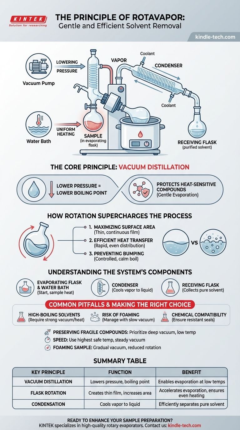 Quel est le principe du Rotavapor ? Maîtriser l'élimination douce des solvants pour les échantillons thermosensibles Guide Visuel