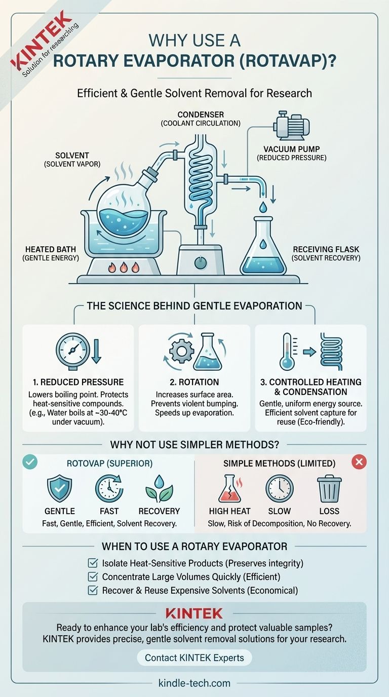 Por que usamos o Rotavapor? Para Remoção Suave e Eficiente de Solventes em Seu Laboratório Guia Visual