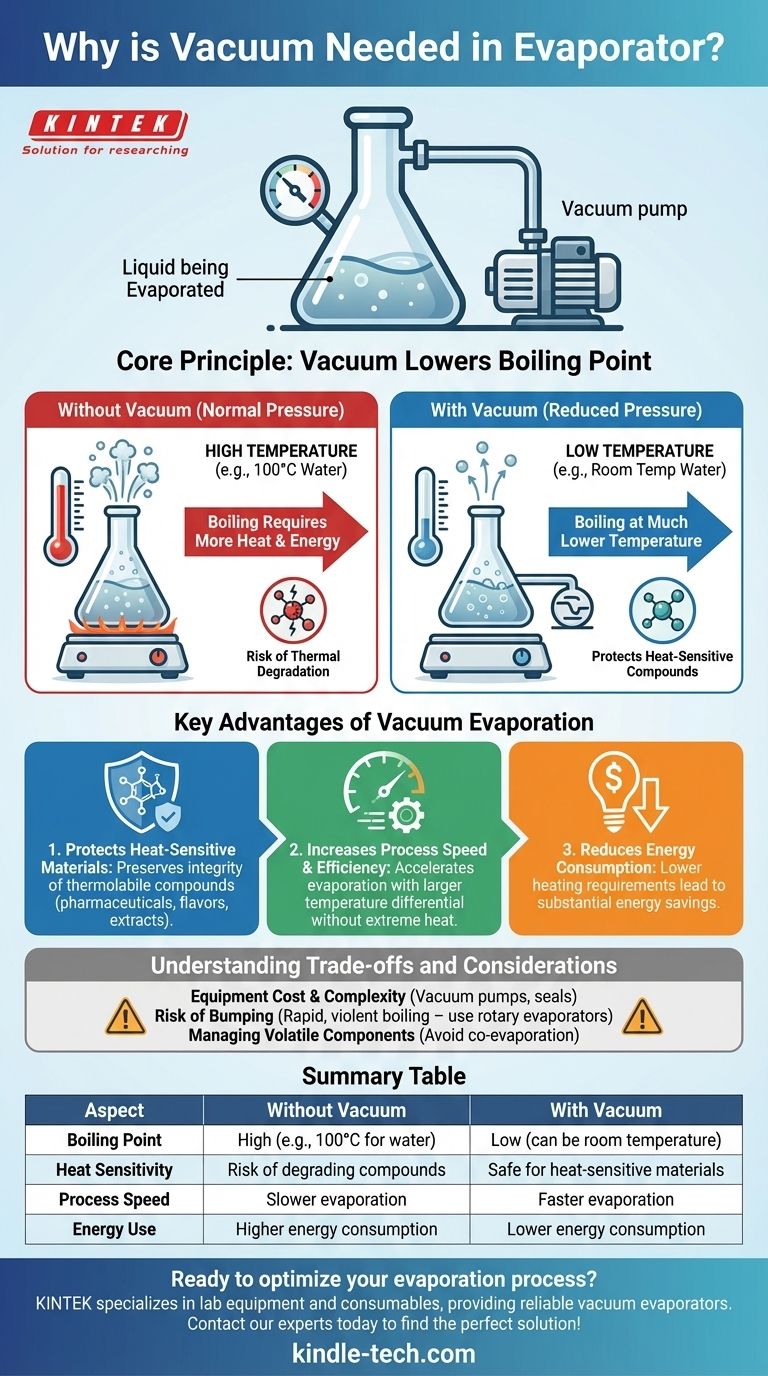 ¿Por qué se necesita vacío en un evaporador? Para proteger materiales termosensibles y aumentar la eficiencia Guía Visual
