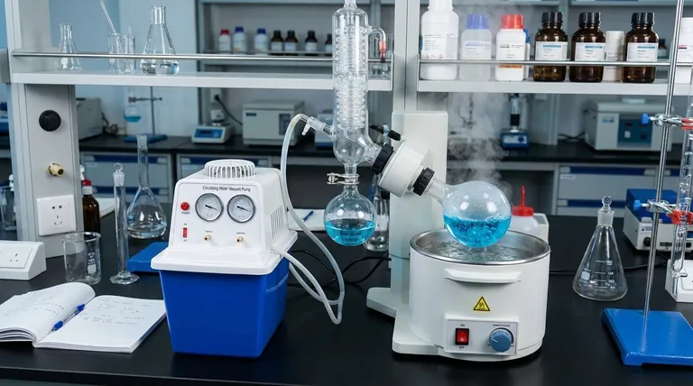 لماذا يُعد التفريغ ضروريًا في المبخر؟ لحماية المواد الحساسة للحرارة وتعزيز الكفاءة