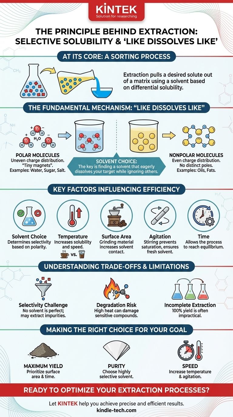 What is the principle behind the process of extraction? Mastering Selective Solubility for Efficient Separation Visual Guide