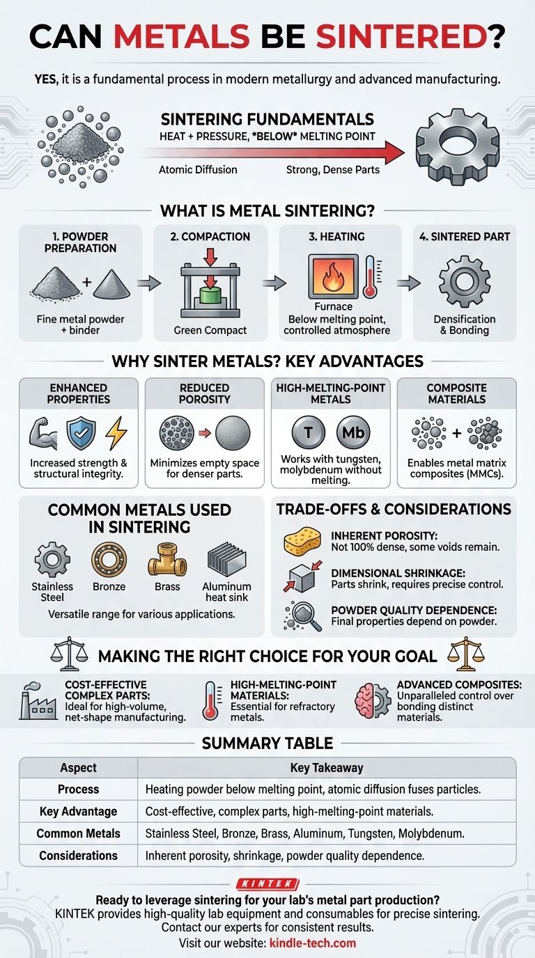 I metalli possono essere sinterizzati? Una guida alla produzione di componenti metallici resistenti e complessi Guida Visiva