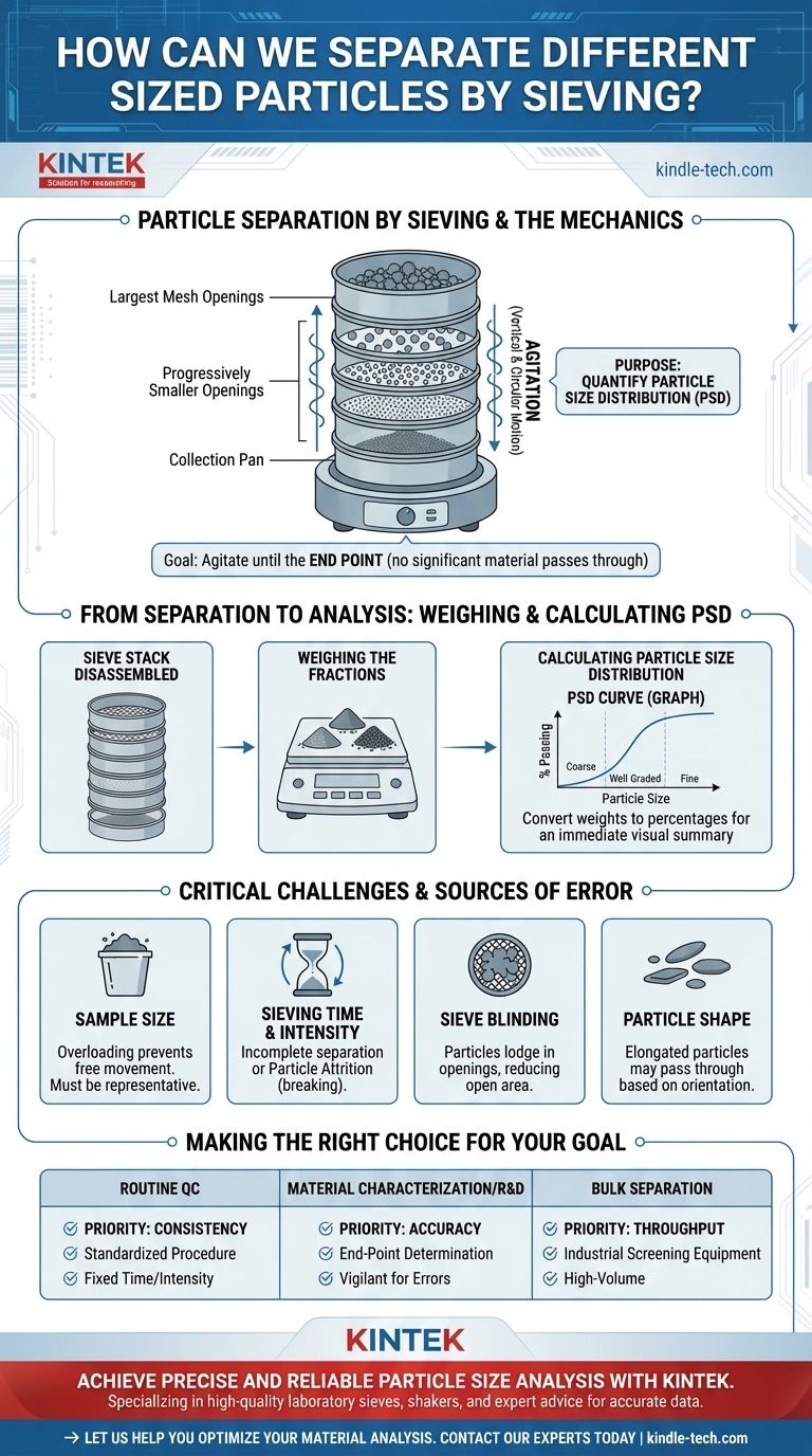 ¿Cómo podemos separar partículas de diferentes tamaños mediante el tamizado? Una guía para una distribución de tamaño de partícula precisa Guía Visual