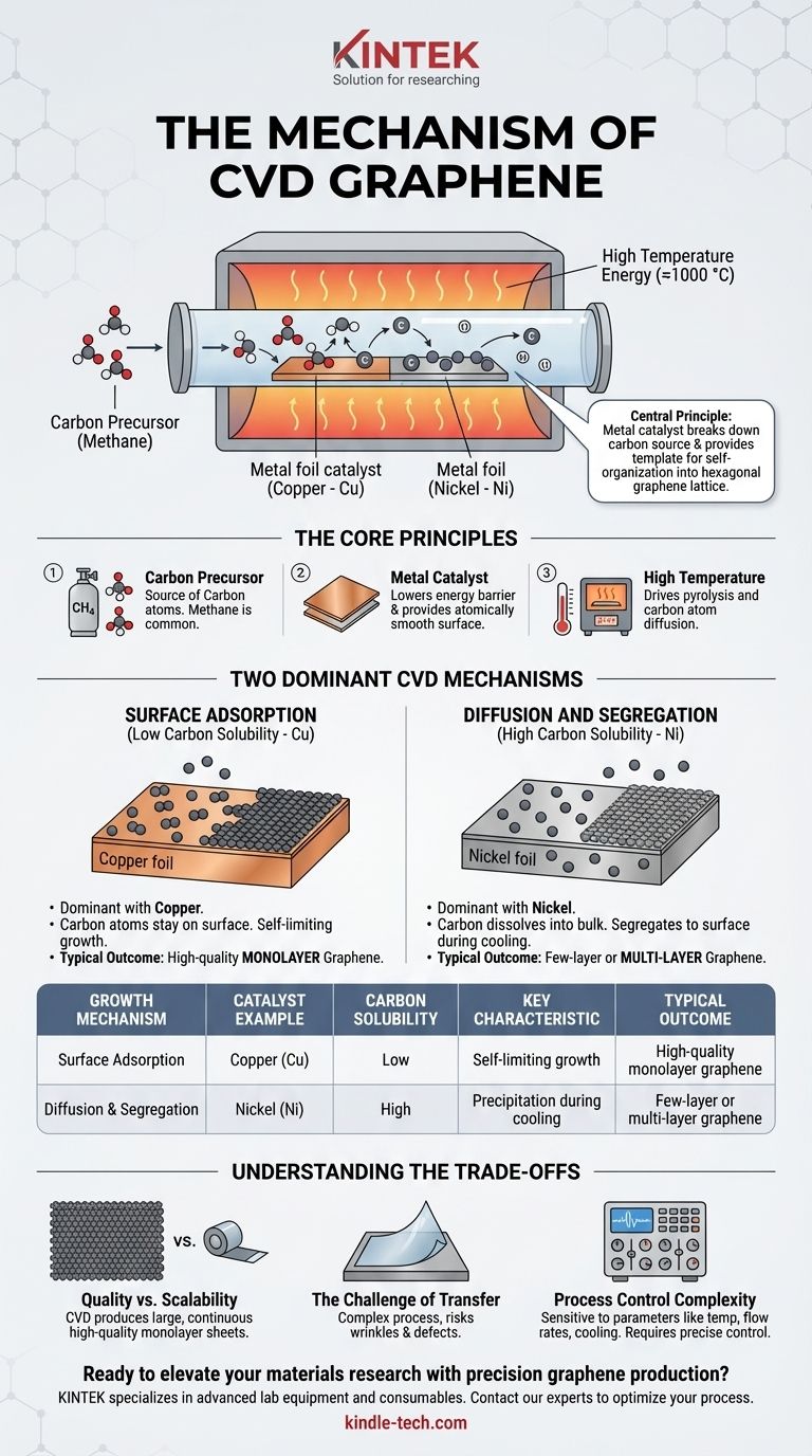What is the mechanism of CVD graphene? Mastering the Process for High-Quality, Large-Area Films Visual Guide