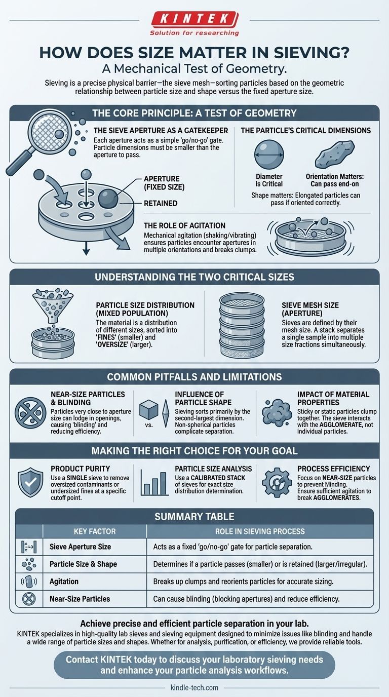 ¿Cómo influye el tamaño en el proceso de tamizado? Domine la geometría de la separación de partículas Guía Visual