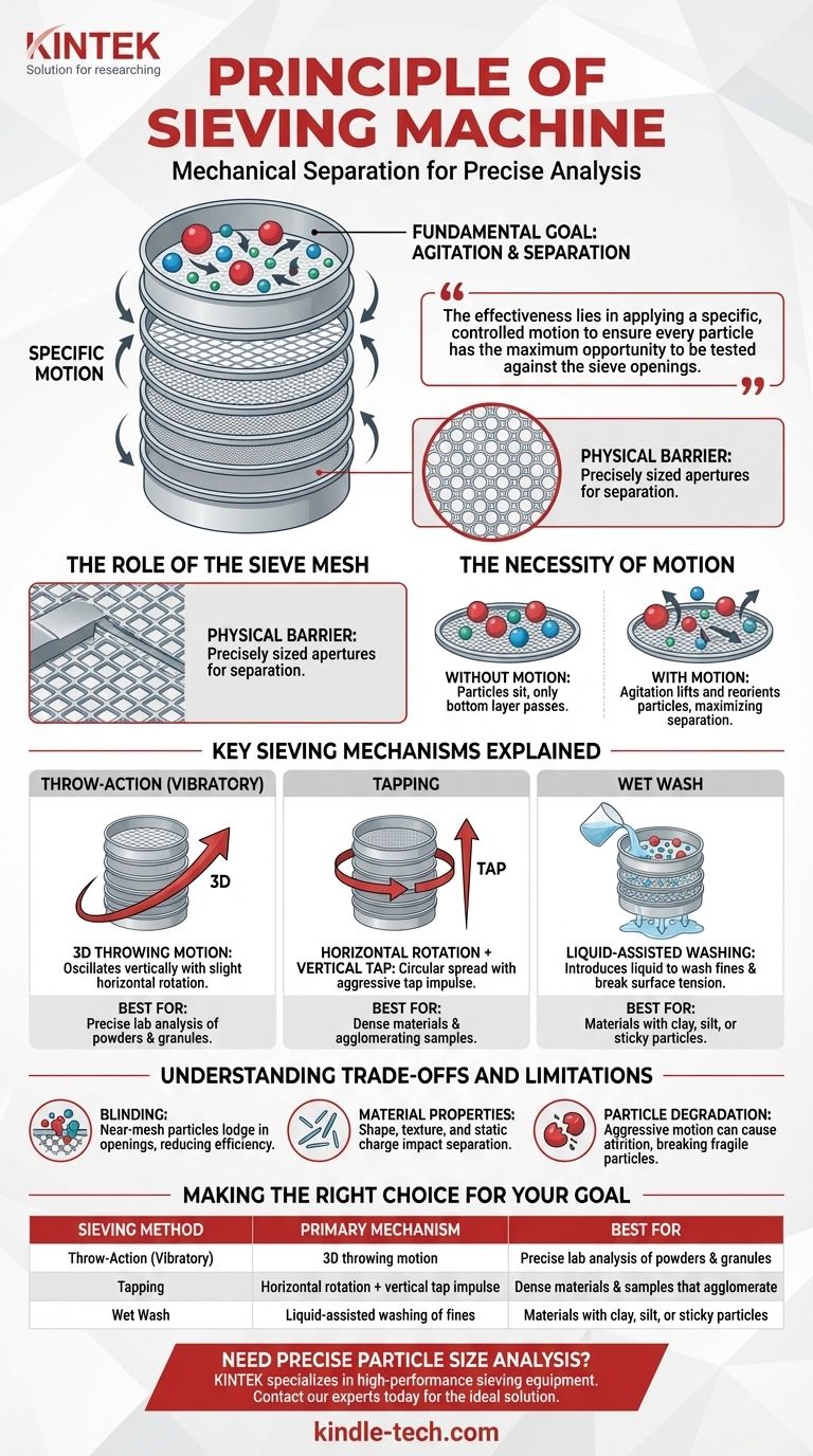체질 기계의 원리는 무엇입니까? 정확한 입자 크기 분리 달성 시각적 가이드