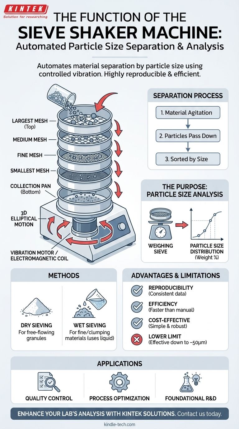 Quelle est la fonction du tamiseur vibrant ? Permettre une analyse précise de la granulométrie Guide Visuel