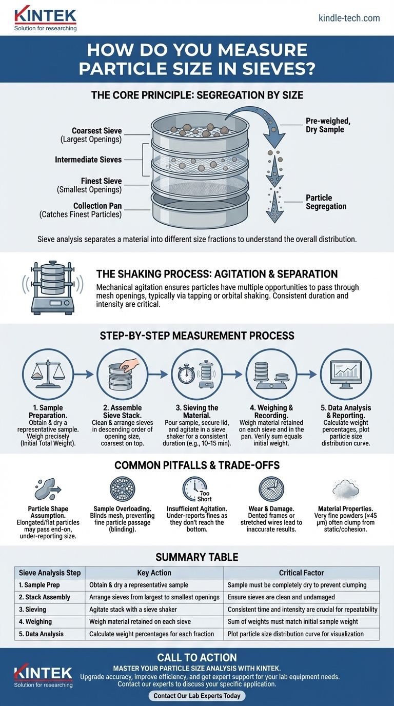 ふるい（篩）で粒度を測定するにはどうすればよいですか？正確なふるい分け分析のためのステップバイステップガイド ビジュアルガイド