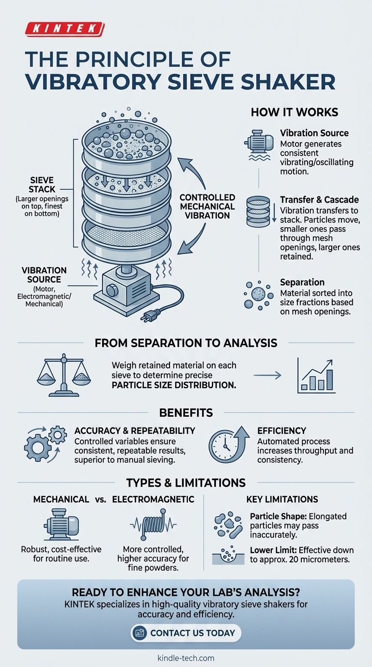 振动筛分机的原理是什么？实现精确的粒度分析 图解指南