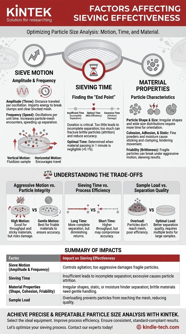 影响筛分效率的因素有哪些？优化您的粒度分析 图解指南