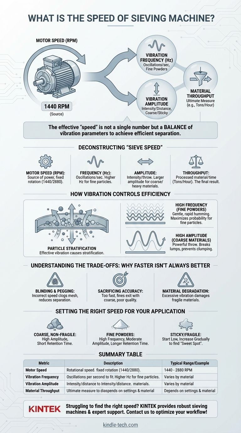 Qual è la velocità di un vaglio vibrante? Ottimizzare la vibrazione per la massima efficienza e precisione Guida Visiva