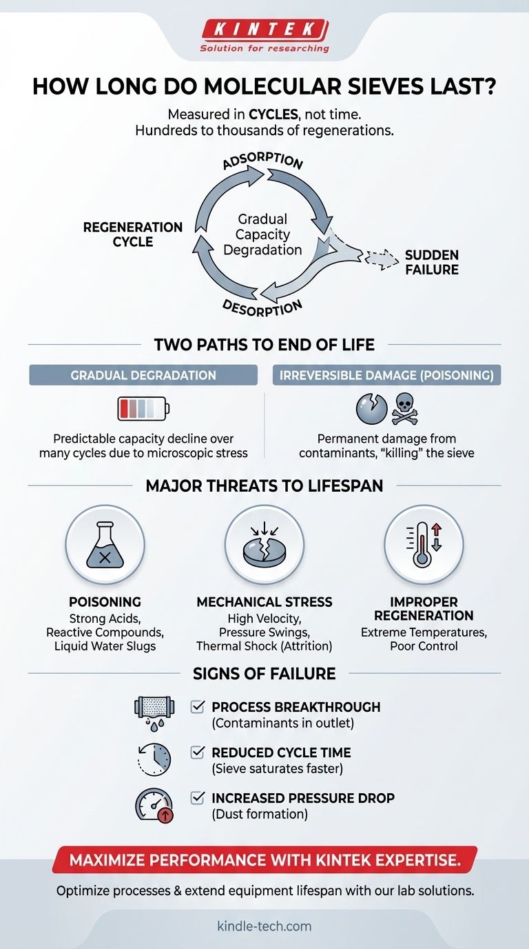 كم تدوم المناخل الجزيئية؟ زيادة العمر الافتراضي مع التجديد والرعاية المناسبين دليل مرئي