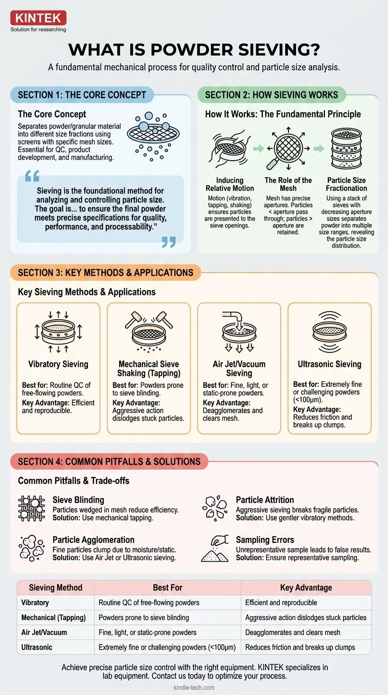 什么是粉末筛分？准确粒度分离指南 图解指南