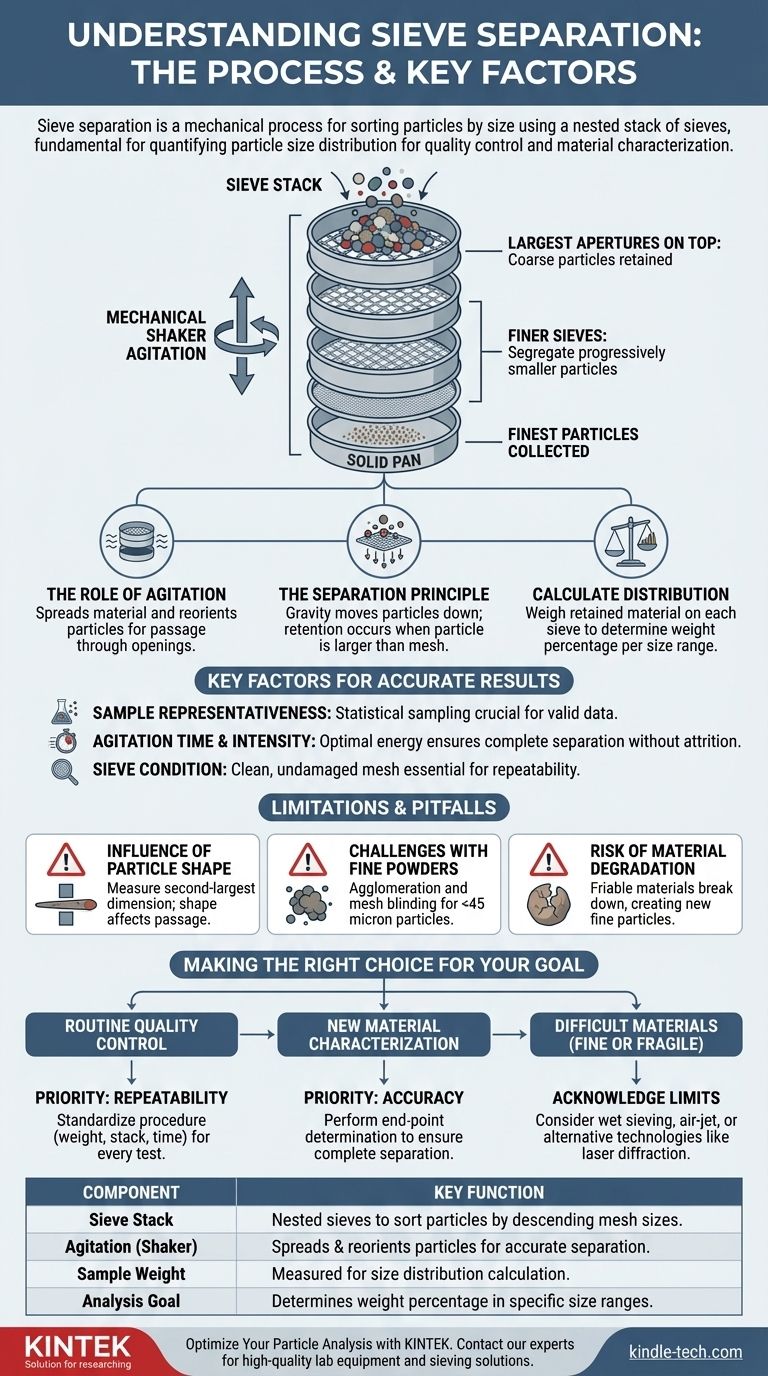 ¿Cuál es el proceso de separación por tamizado? Una guía para el análisis preciso del tamaño de partícula Guía Visual