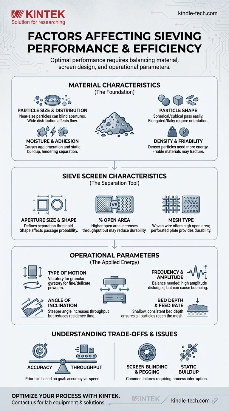 Какие факторы влияют на производительность и эффективность просеивания? Оптимизируйте процесс разделения частиц Визуальное руководство