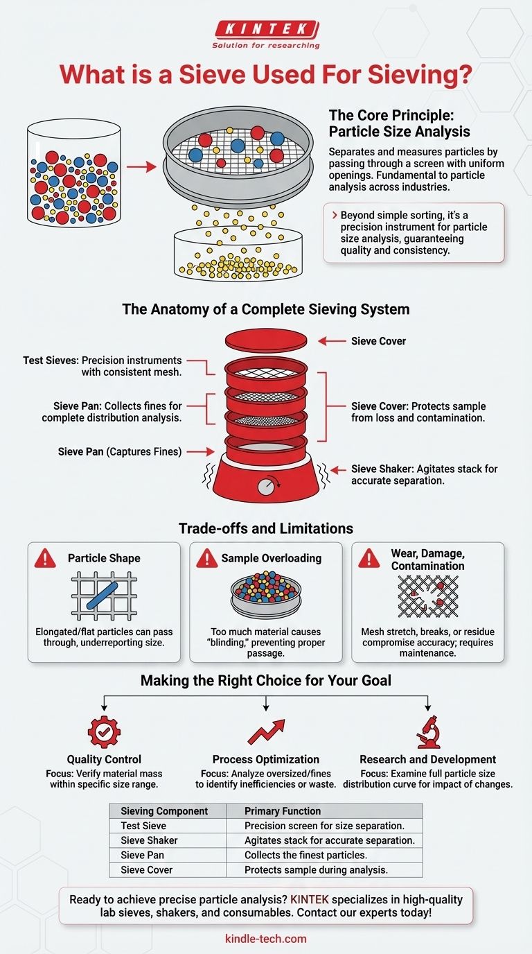 체질을 위해 사용되는 체란 무엇인가? 정밀 입자 크기 분석을 위한 안내서 시각적 가이드