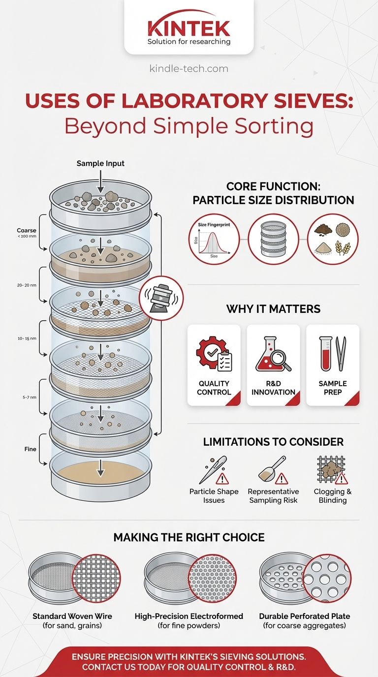 Quelles sont les utilisations des tamis en laboratoire ? Assurer la qualité et la cohérence des matériaux Guide Visuel
