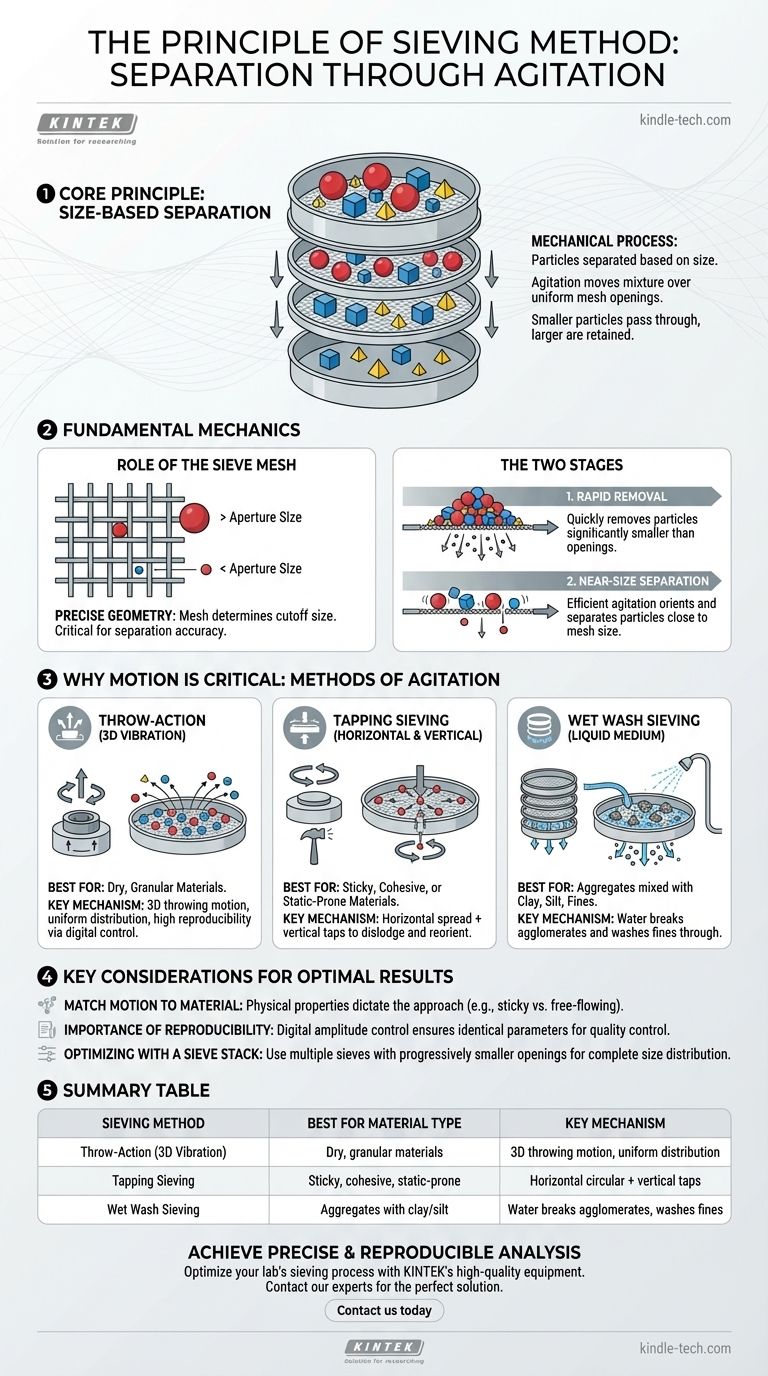 Каков принцип метода просеивания? Достижение точного разделения частиц по размеру Визуальное руководство