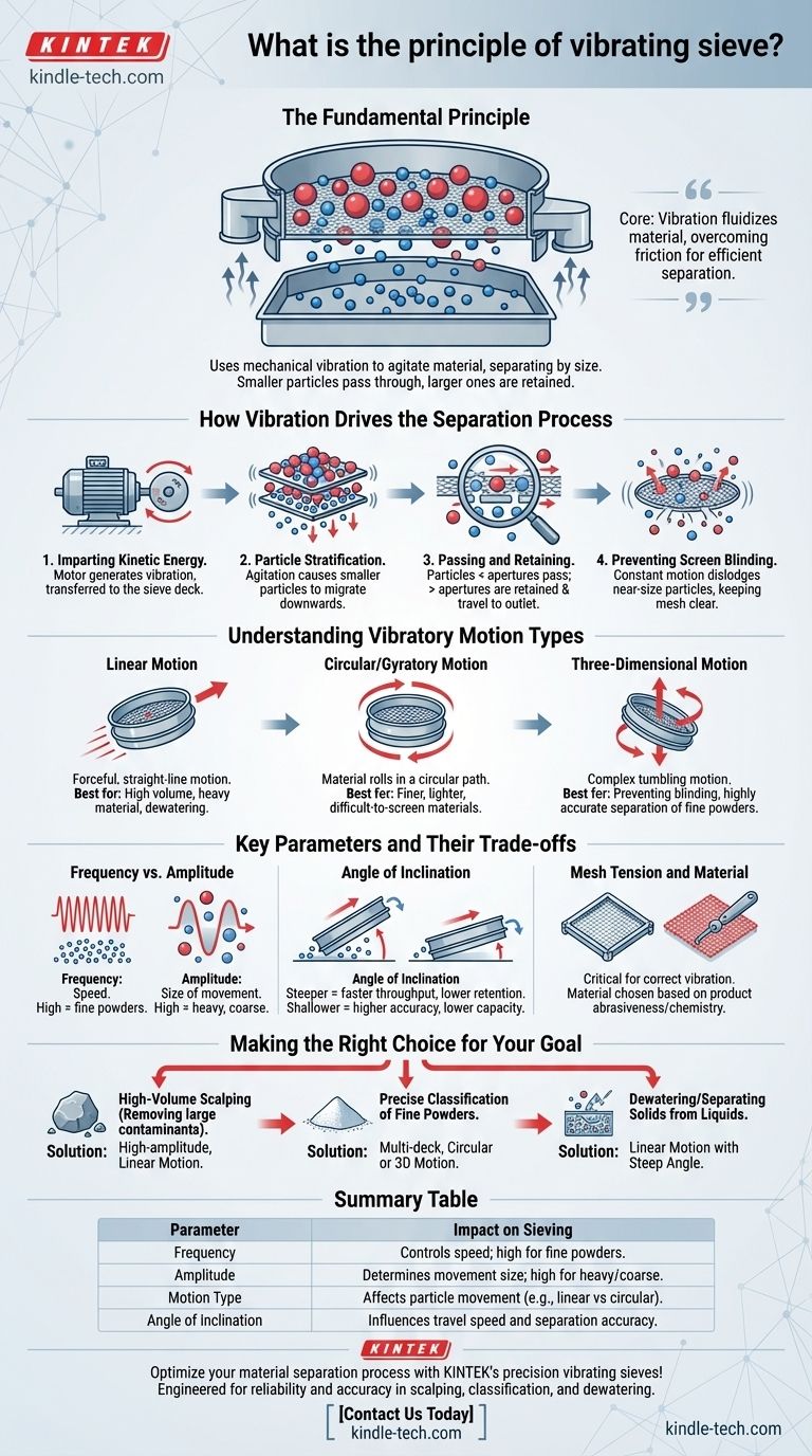 ¿Cuál es el principio del tamiz vibratorio? Logre una separación precisa de partículas con vibración mecánica Guía Visual