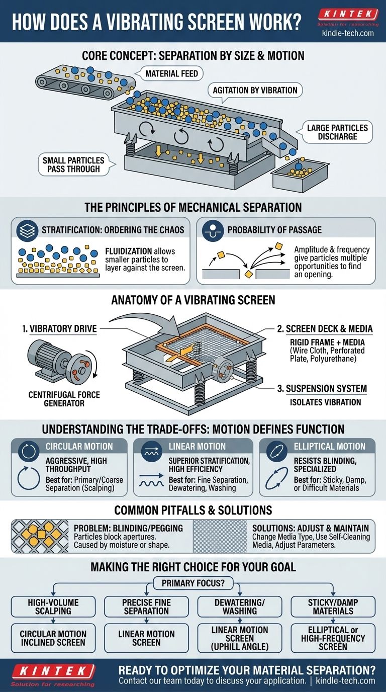Come funziona un vaglio vibrante? Sblocca la separazione e la classificazione efficiente dei materiali Guida Visiva