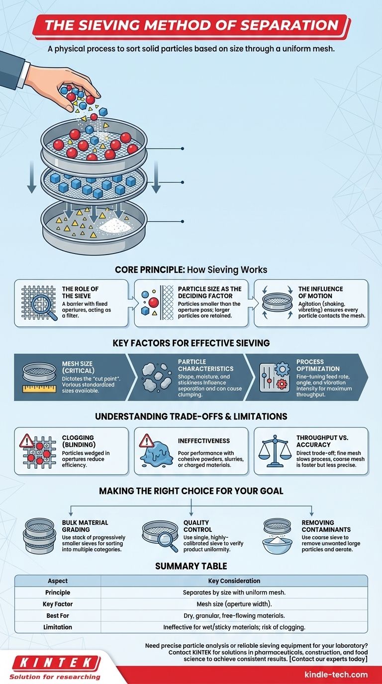分級（ふるい分け）法とは？ 効率的な粒子径分類のためのガイド ビジュアルガイド