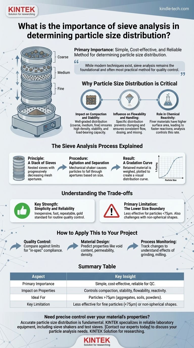 Qual è l'importanza dell'analisi al setaccio nella determinazione della distribuzione granulometrica? Garantire la qualità e le prestazioni del materiale Guida Visiva