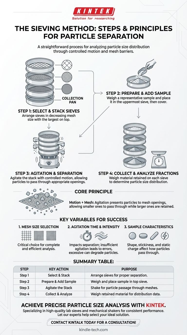 Was sind die Schritte der Siebmethode? Ein Leitfaden zur genauen Trennung der Partikelgröße Visuelle Anleitung