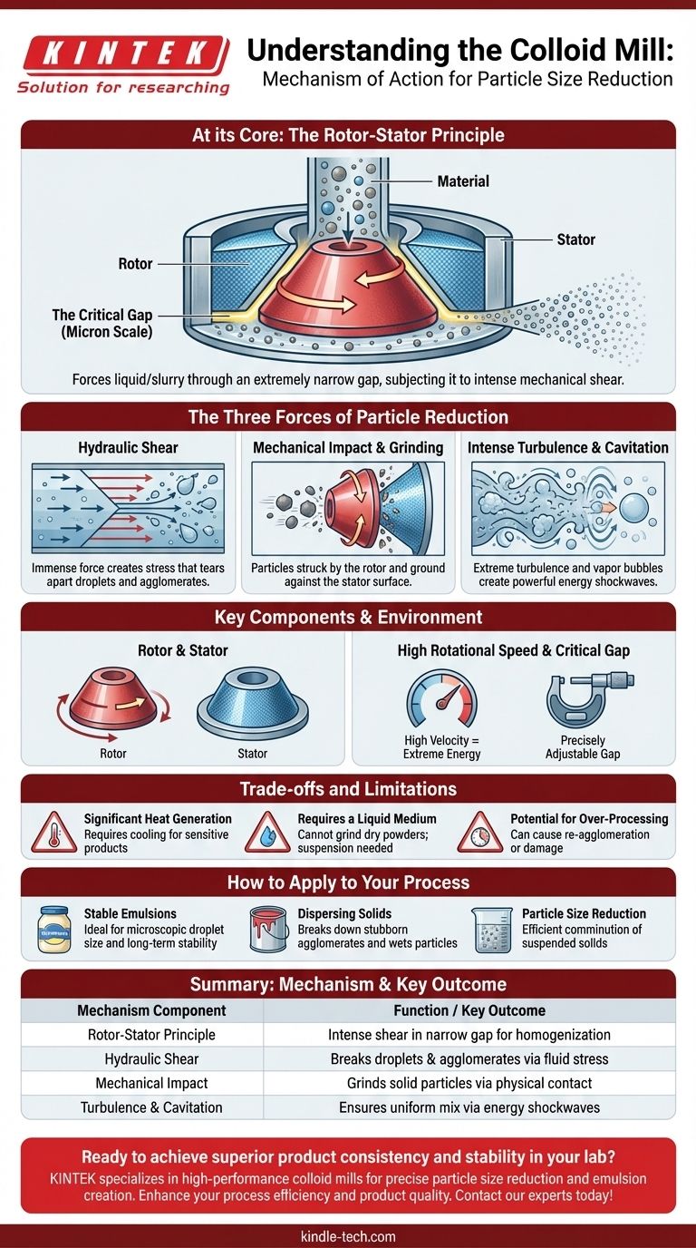 Quel est le mécanisme d'action d'un broyeur colloïdal ? Maîtrisez le traitement à cisaillement élevé pour des émulsions et des dispersions supérieures Guide Visuel